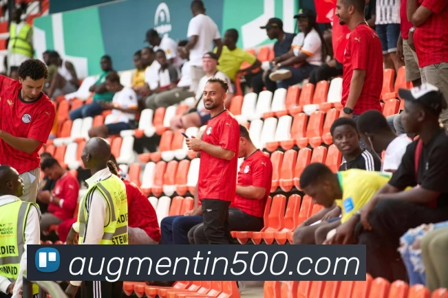 500彩票平台生态图